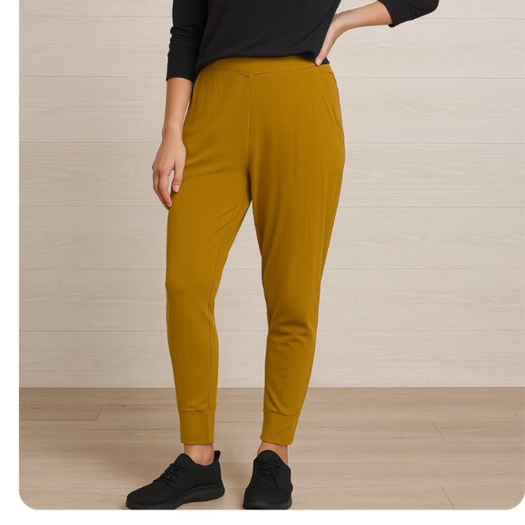 Aerie Women's Mustard Yellow High-Waisted Relaxed Jogger Track Pants size large - Picture 1 of 6